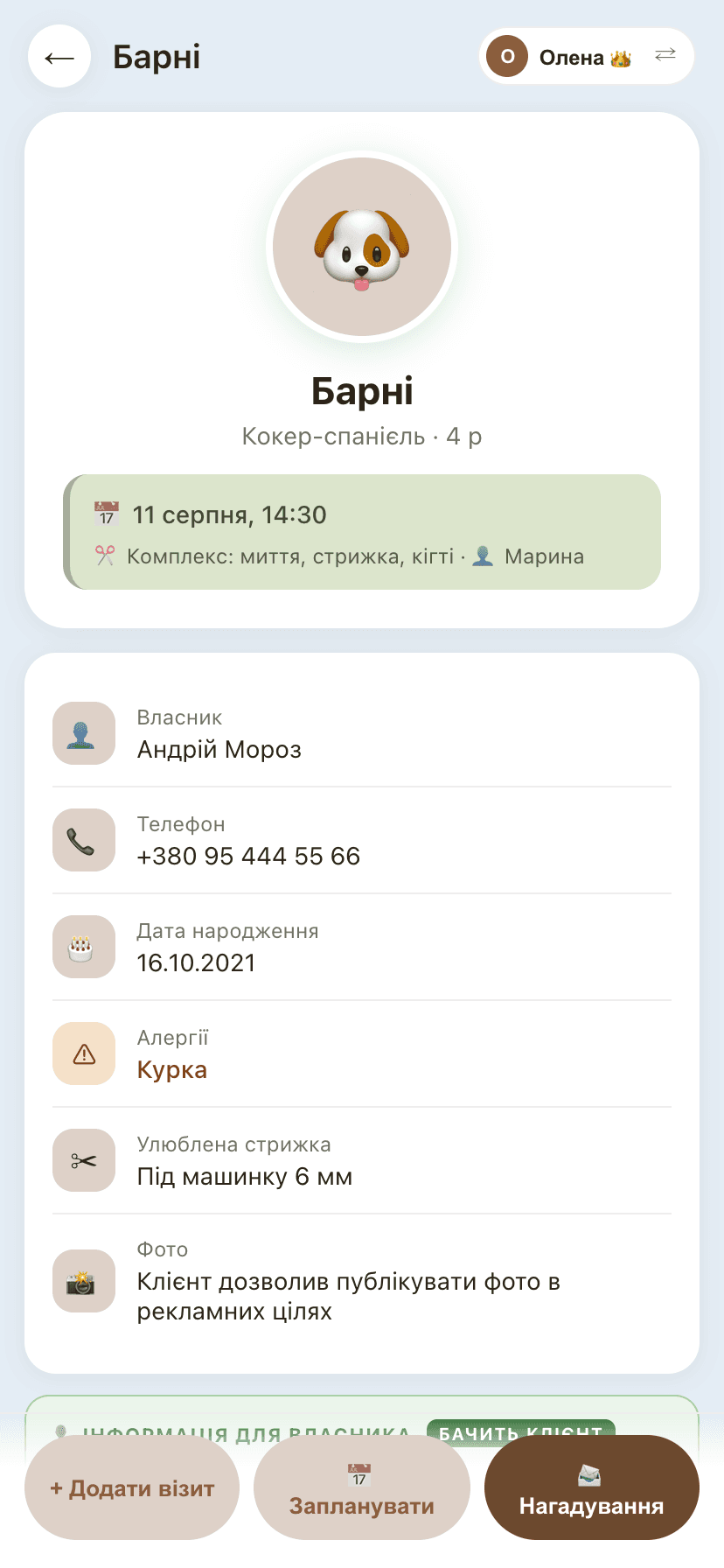 Картка собаки: наступний візит із майстром, власник, алергії та улюблена стрижка — усе, що треба знати перед роботою